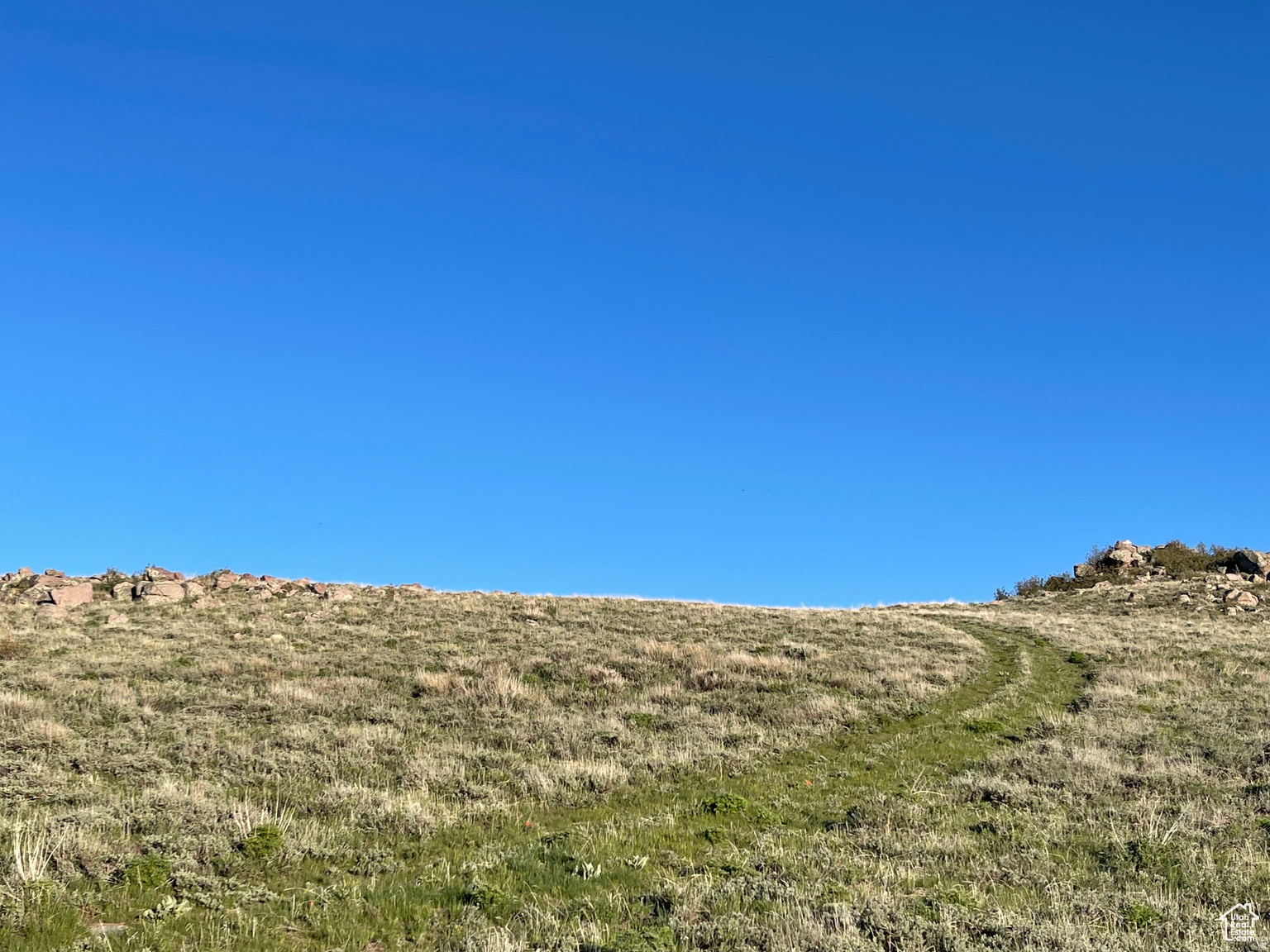 LAKE RIDGE RANCH - Land