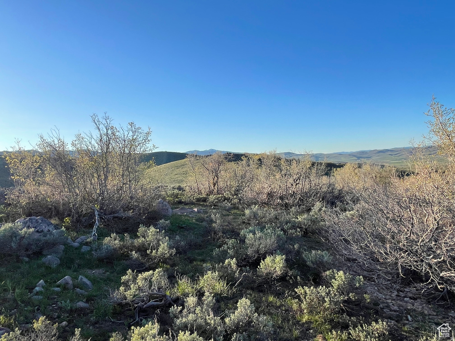 LAKE RIDGE RANCH - Land