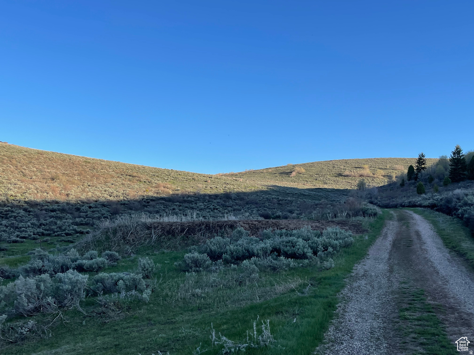 LAKE RIDGE RANCH - Land