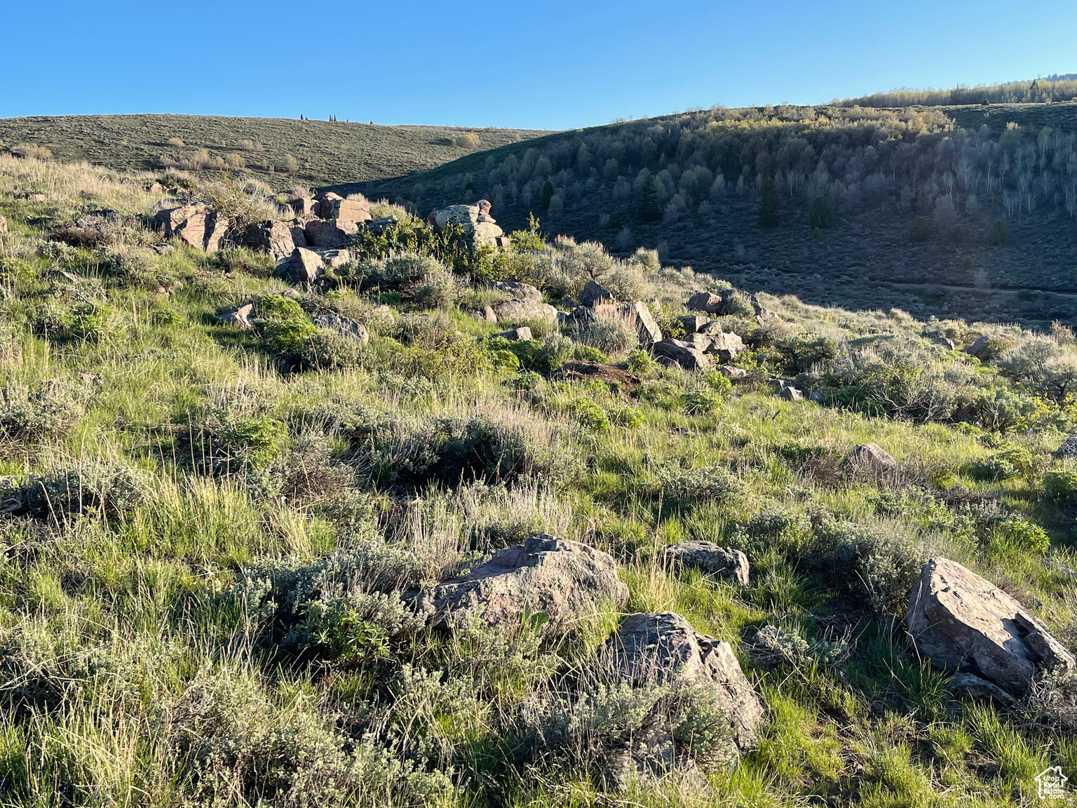 LAKE RIDGE RANCH - Land