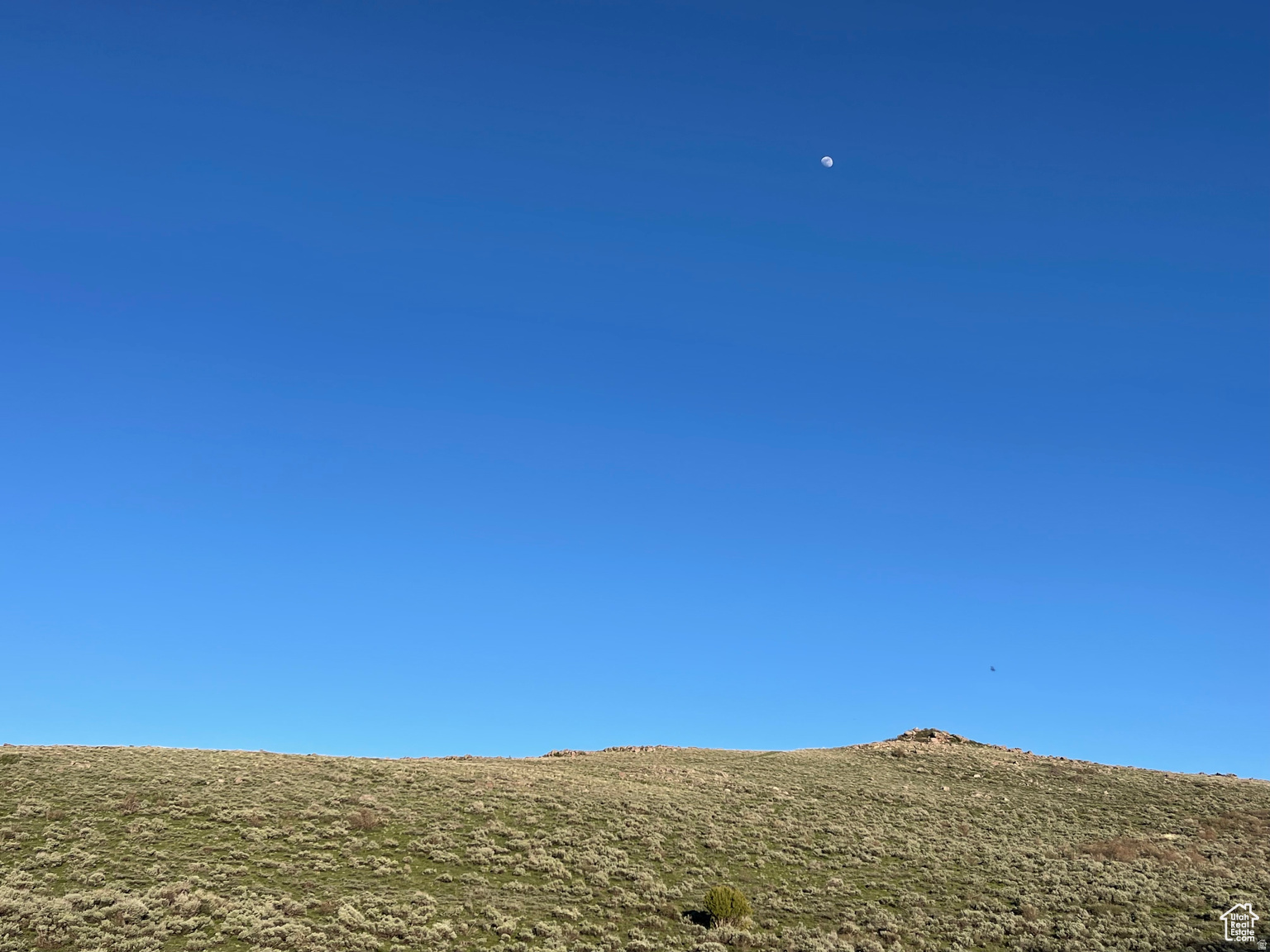 LAKE RIDGE RANCH - Land