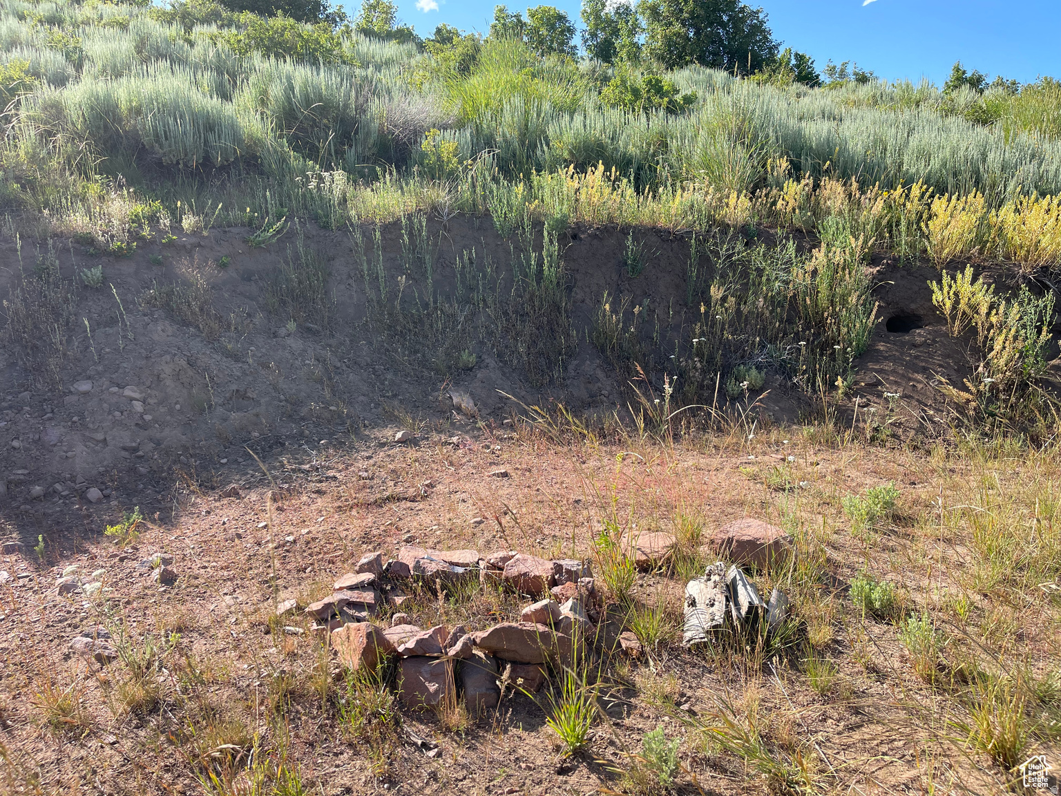 LAKE RIDGE RANCH - Land