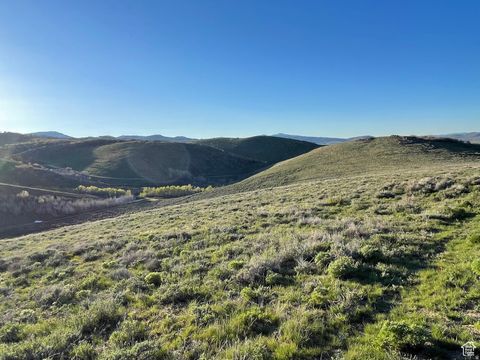 Vacant Land For Sale - 200 Mill Farm Rd<br/> Montpelier, ID 83254