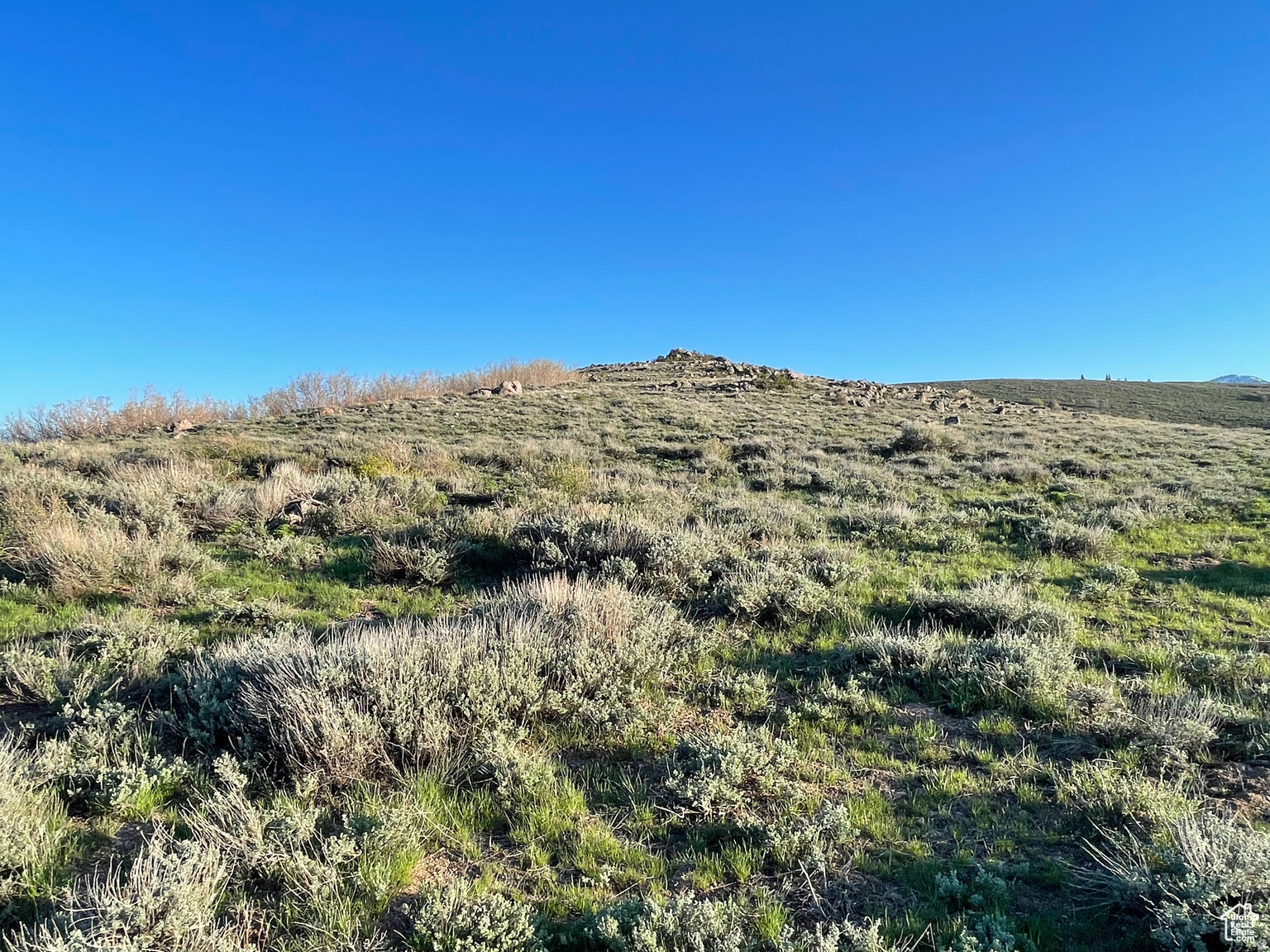 LAKE RIDGE RANCH - Land