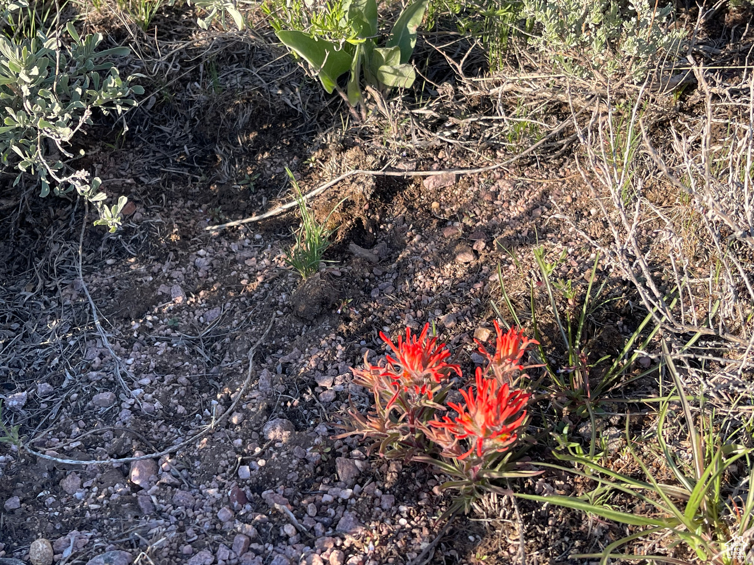 LAKE RIDGE RANCH - Land