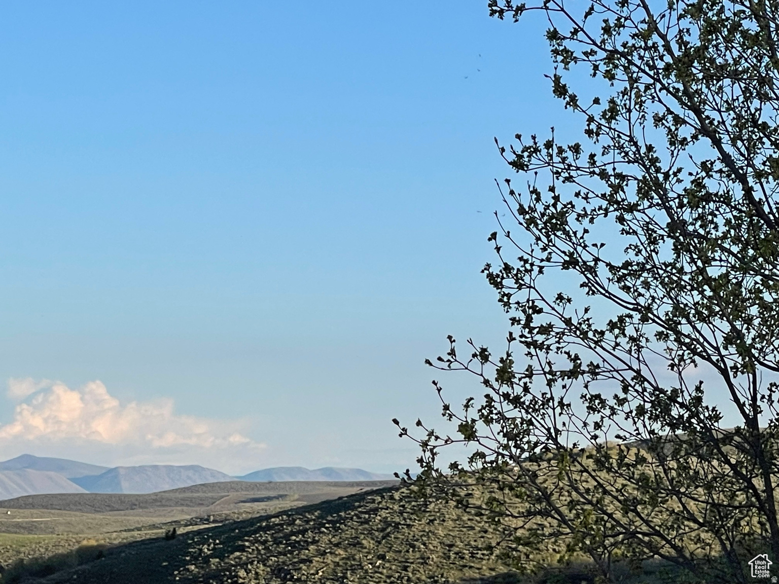 LAKE RIDGE RANCH - Land