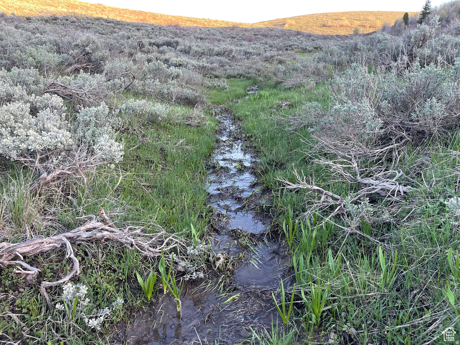 LAKE RIDGE RANCH - Land