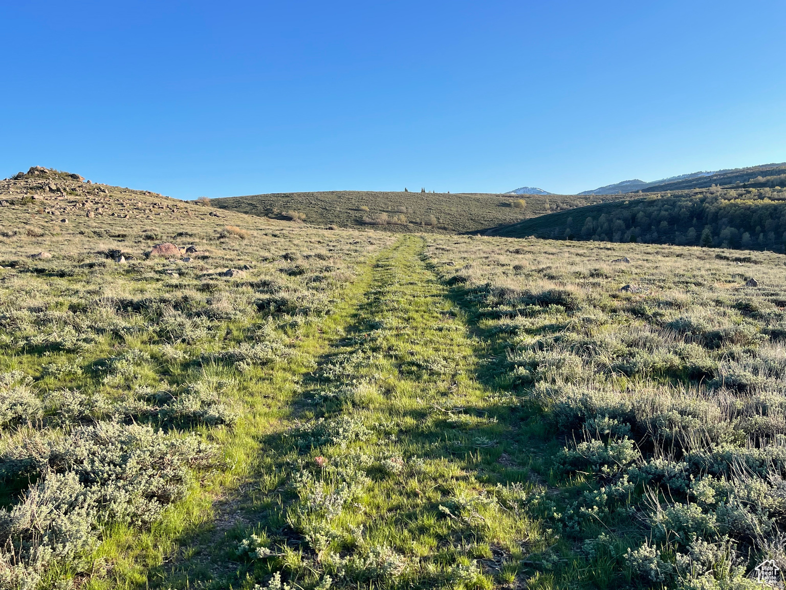 LAKE RIDGE RANCH - Land