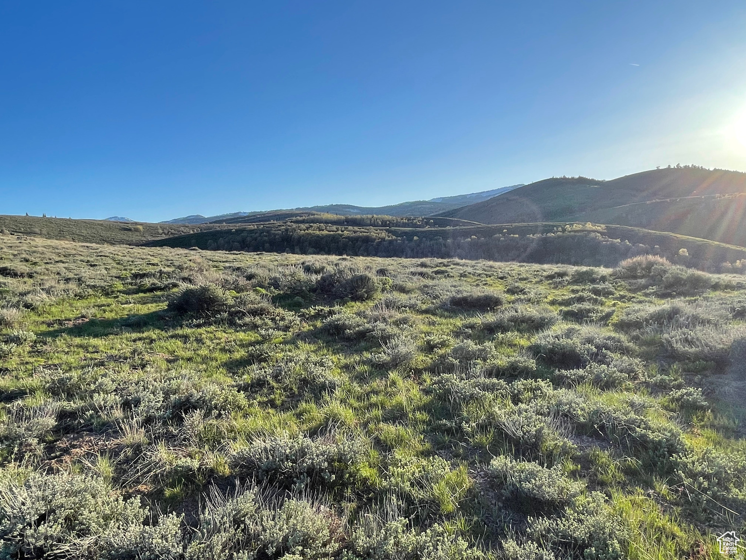 LAKE RIDGE RANCH - Land