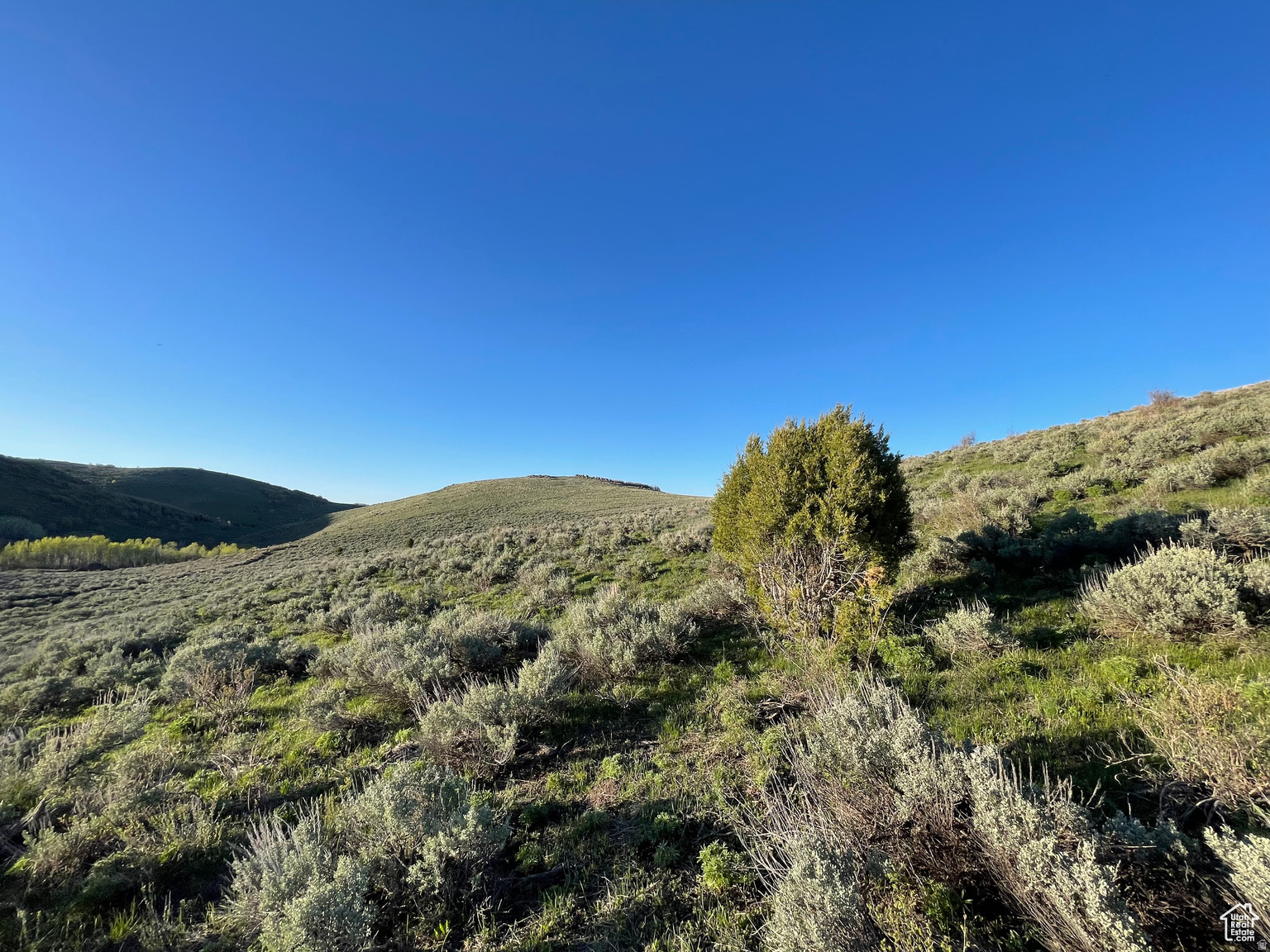 LAKE RIDGE RANCH - Land