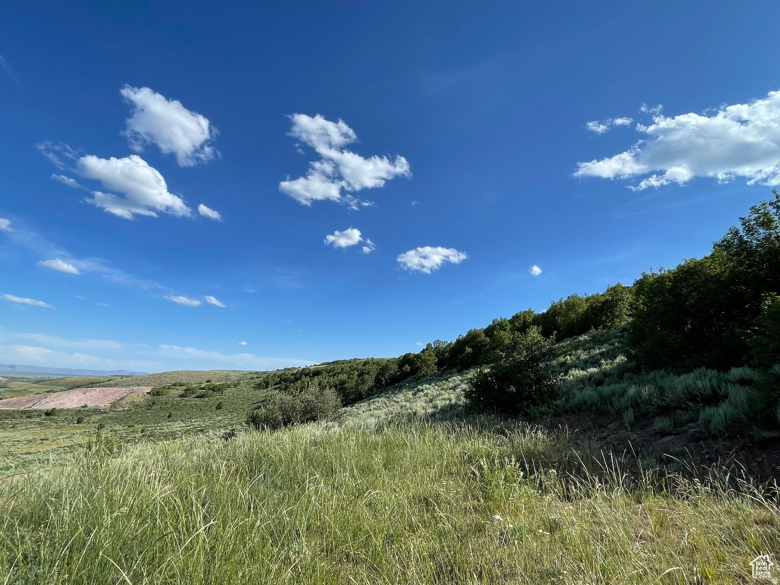 LAKE RIDGE RANCH - Land