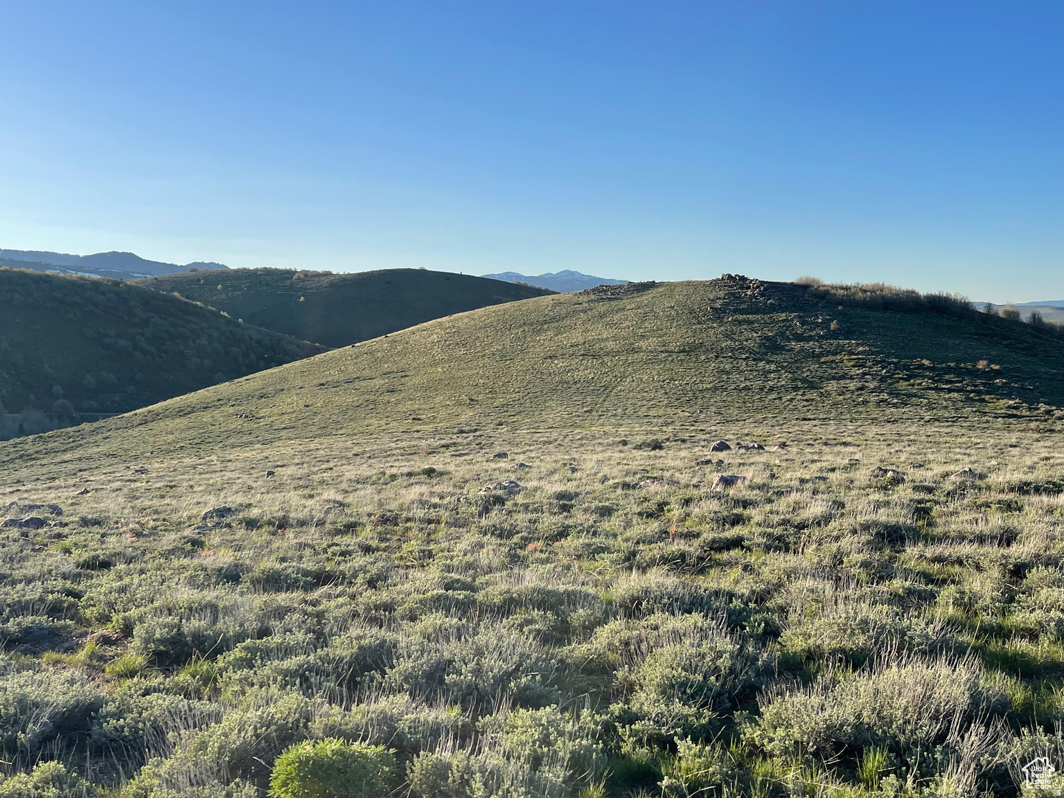 LAKE RIDGE RANCH - Land