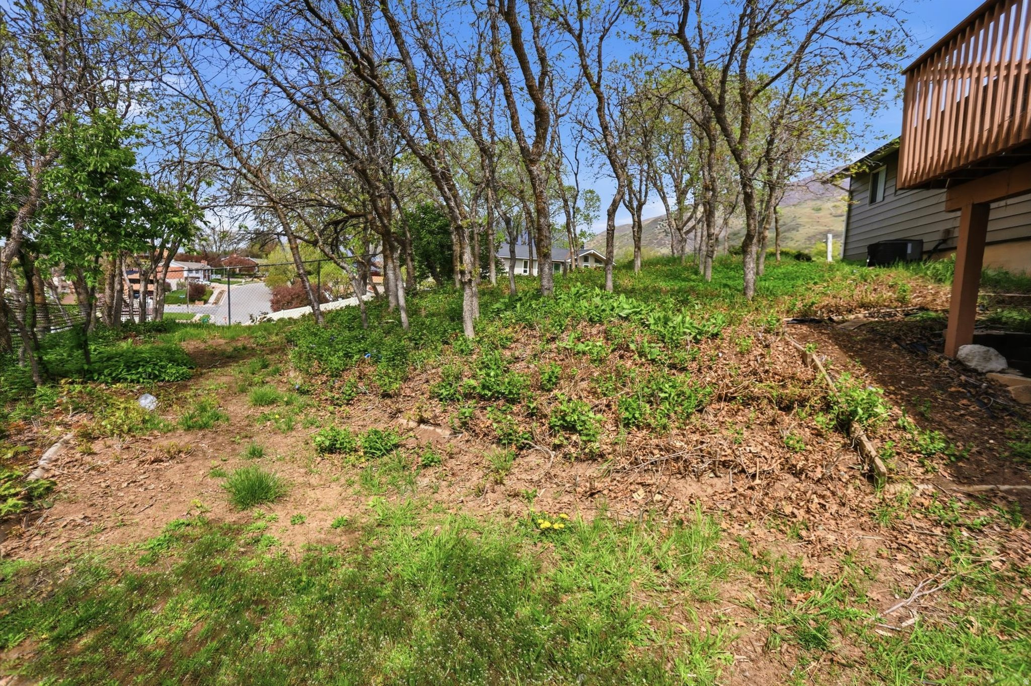 OAK FOREST - Residential