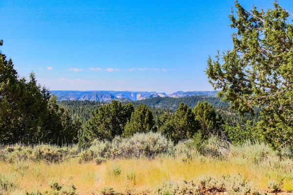FITZWATER DR, SPRINGDALE, UT 84767 - Image c926ee8d6b76a14eec66e775bbbcc3a6/324069559