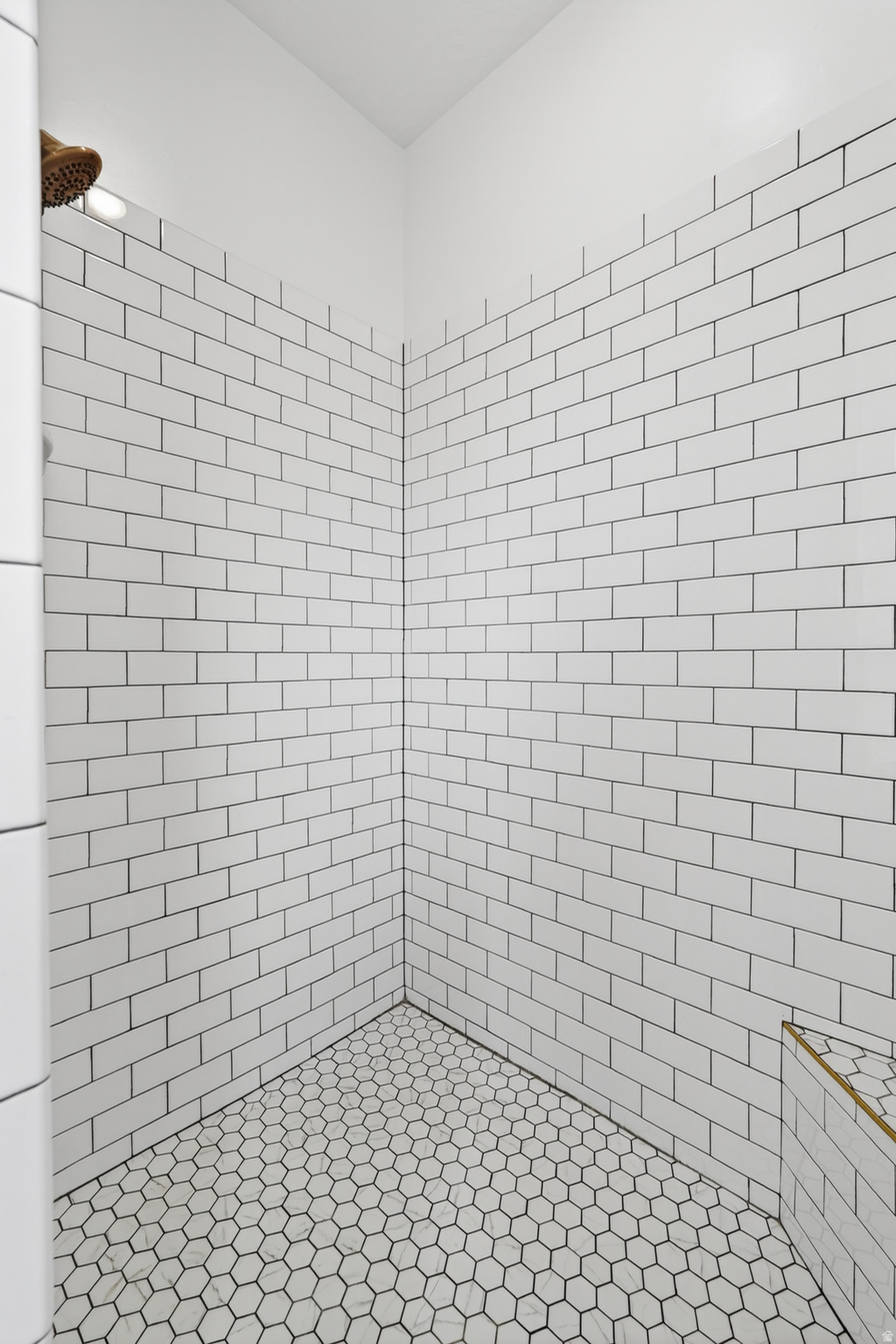 DIXIE SPRINGS - Residential