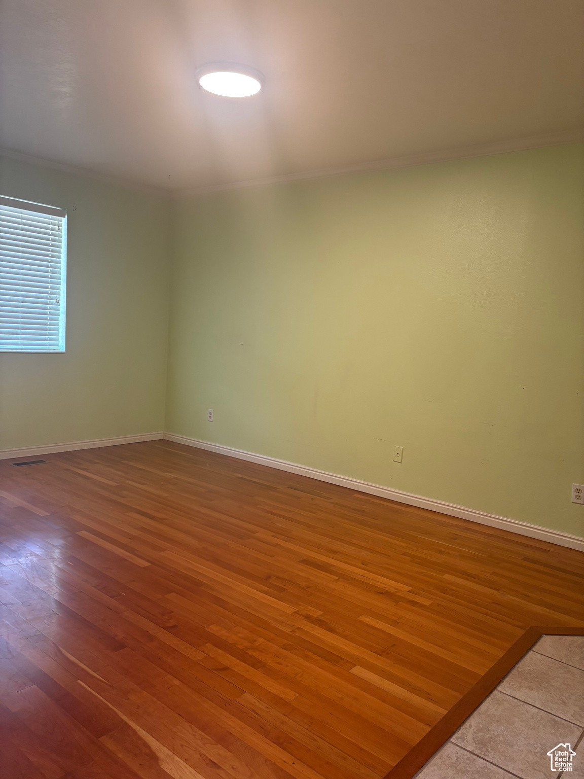 MAIN ST. CONDOS - Residential Income