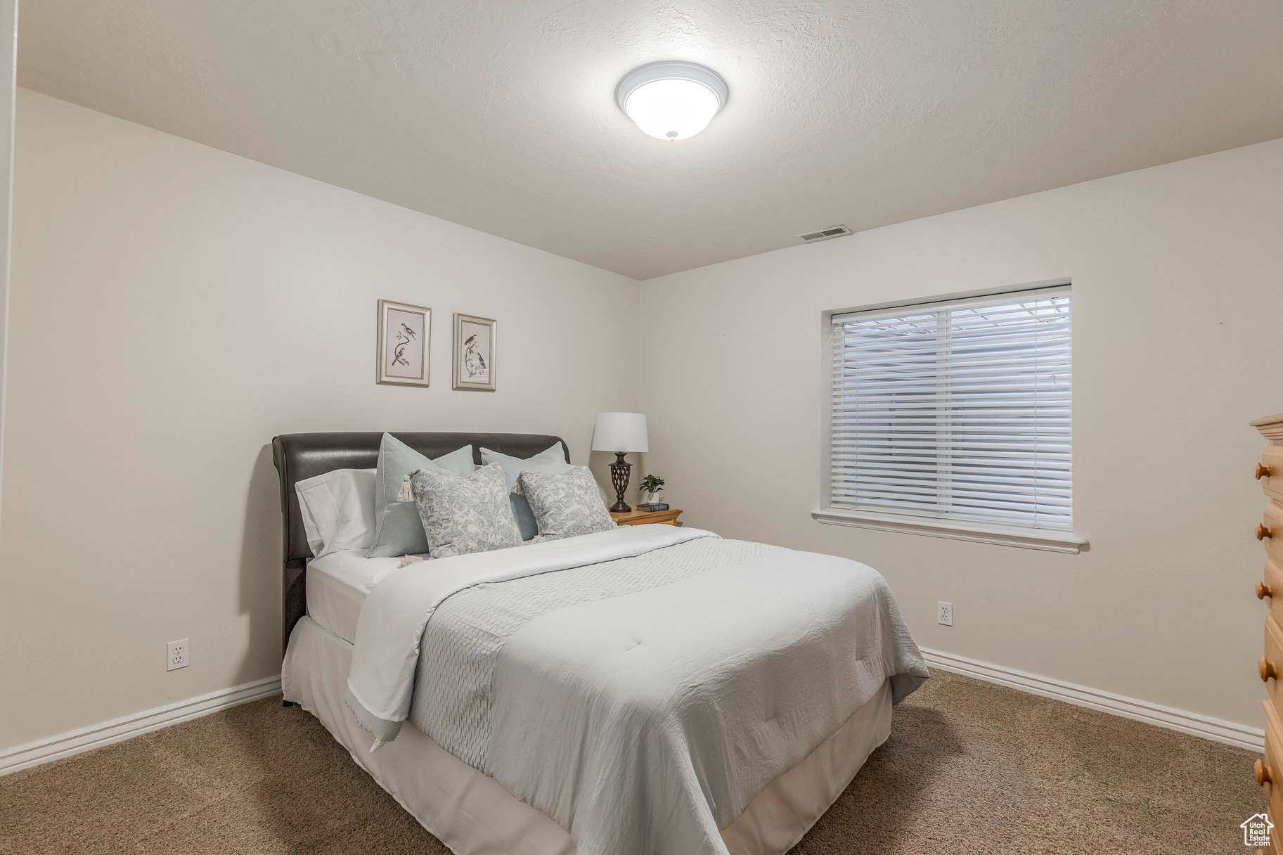 5604 W 11350, Highland, Utah image 21