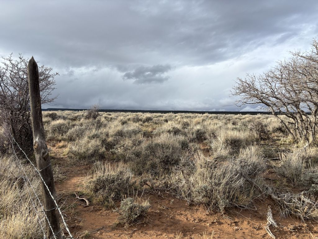 Photo of 167 W GORDON RESERVOIR RD, Monticello, UT 84535 (MLS # 2125070)