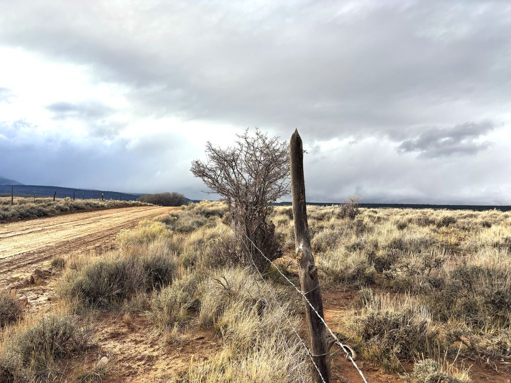 Photo of 167 W GORDON RESERVOIR RD, Monticello, UT 84535 (MLS # 2125070)