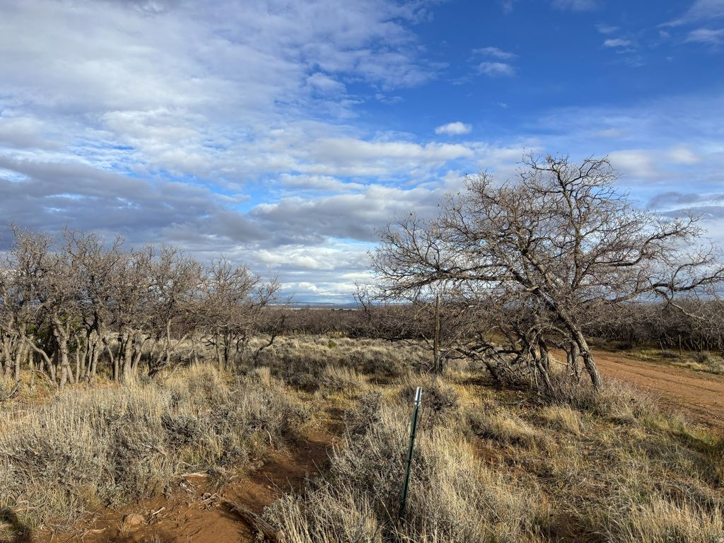 Photo of 167 W GORDON RESERVOIR RD, Monticello, UT 84535 (MLS # 2125070)