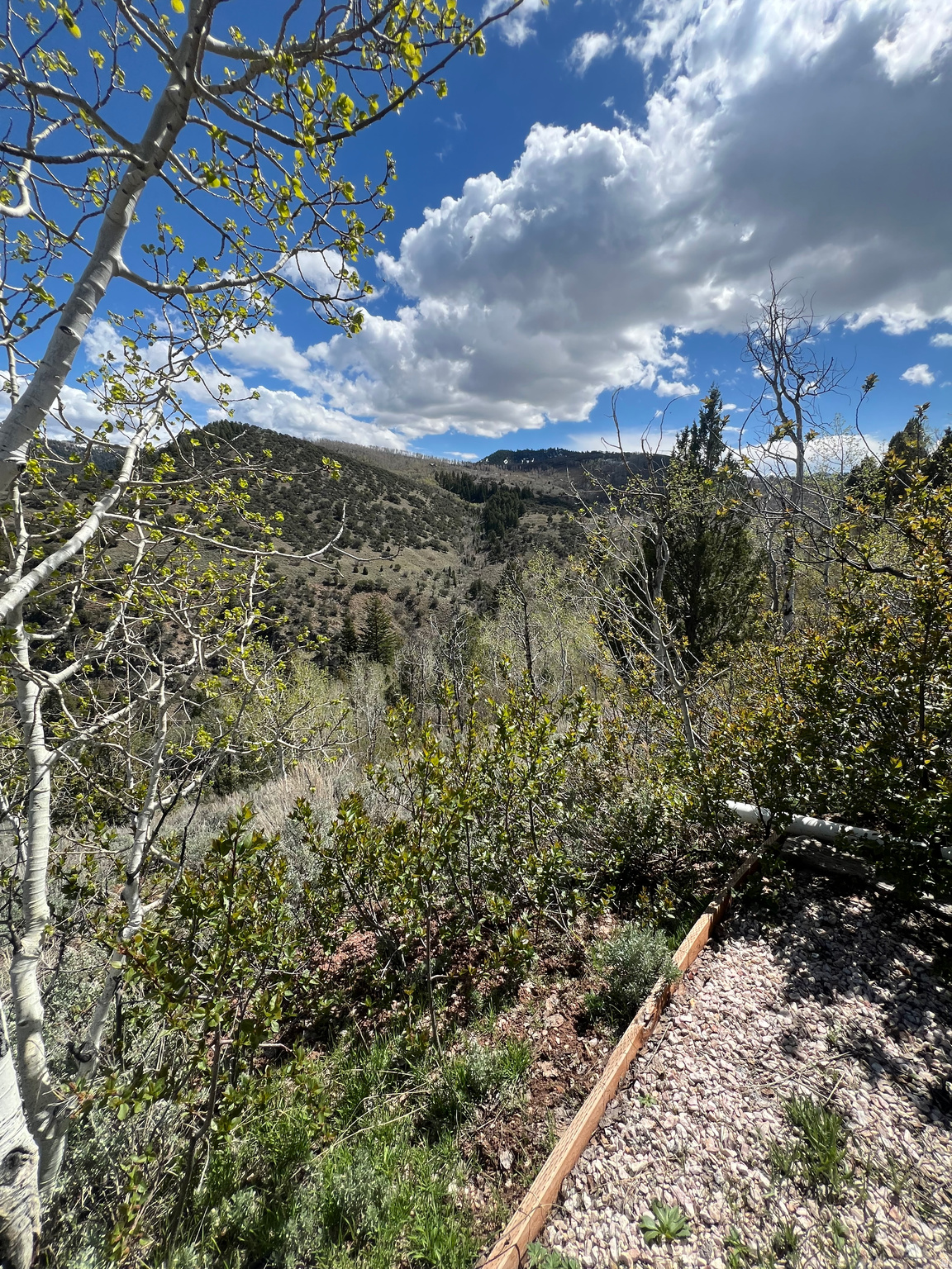 HARDWARE PARK MOUNTAIN ESTATES - Land