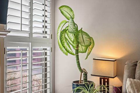 Tiny photo for 1312 E 2025 S, Ogden, UT 84401 (MLS # 2137674)