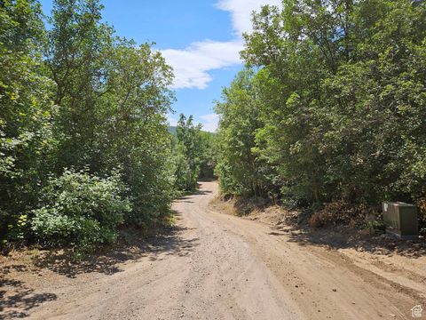 Tiny photo for 47 S UPPER BIRCH CREEK RD E #L47, Fairview, UT 84629 (MLS # 2018380)