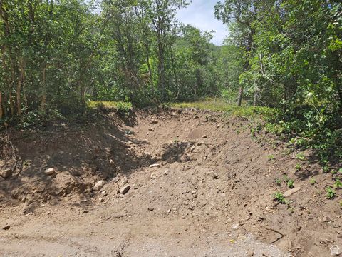 Tiny photo for 47 S UPPER BIRCH CREEK RD E #L47, Fairview, UT 84629 (MLS # 2018380)