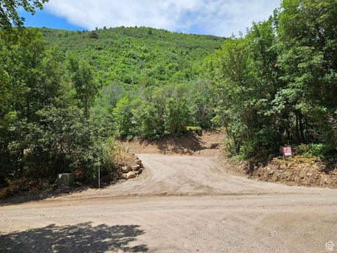 Tiny photo for 47 S UPPER BIRCH CREEK RD E #L47, Fairview, UT 84629 (MLS # 2018380)