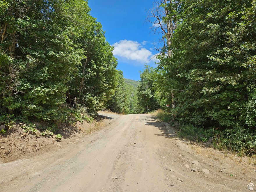 Property defined as being in Skyline Mountain Resort, Lot L47. Very nice property with cabins in the immediate area. There is a stream across the road that runs year round. Property has been excavated and graveled. There are 2 power outlets, but Mt. Pleasant City has not connected power to the outlets. Property owners in Skyline Mountain Resort have access to a golf course, swimming pool, tennis courts, pavilion and cabins that can be rented. Water is also available. This property is located in a gated community - contact listing agent for access instructions to the property.