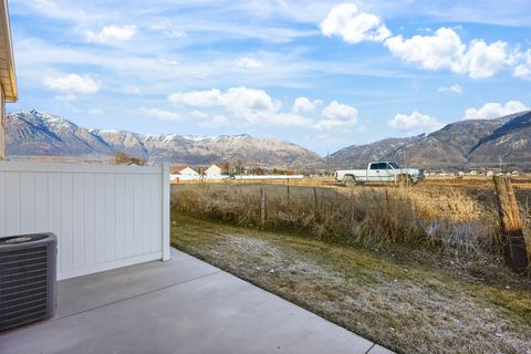 Tiny photo for 1978 N 225 W #72, Harrisville, UT 84414 (MLS # 2135674)