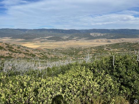 Vacant Land For Sale - #27-28<br/> Fairview, UT 84629