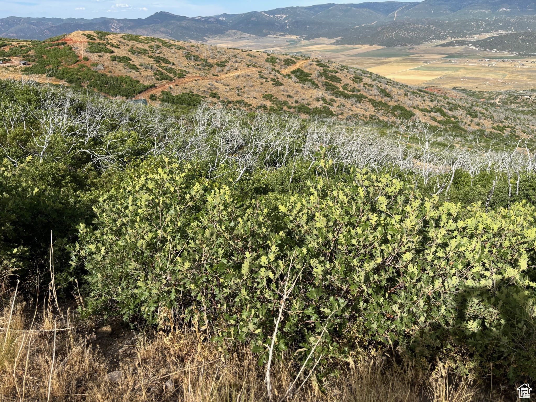 PLAT O / INDIAN RIDGE - Land