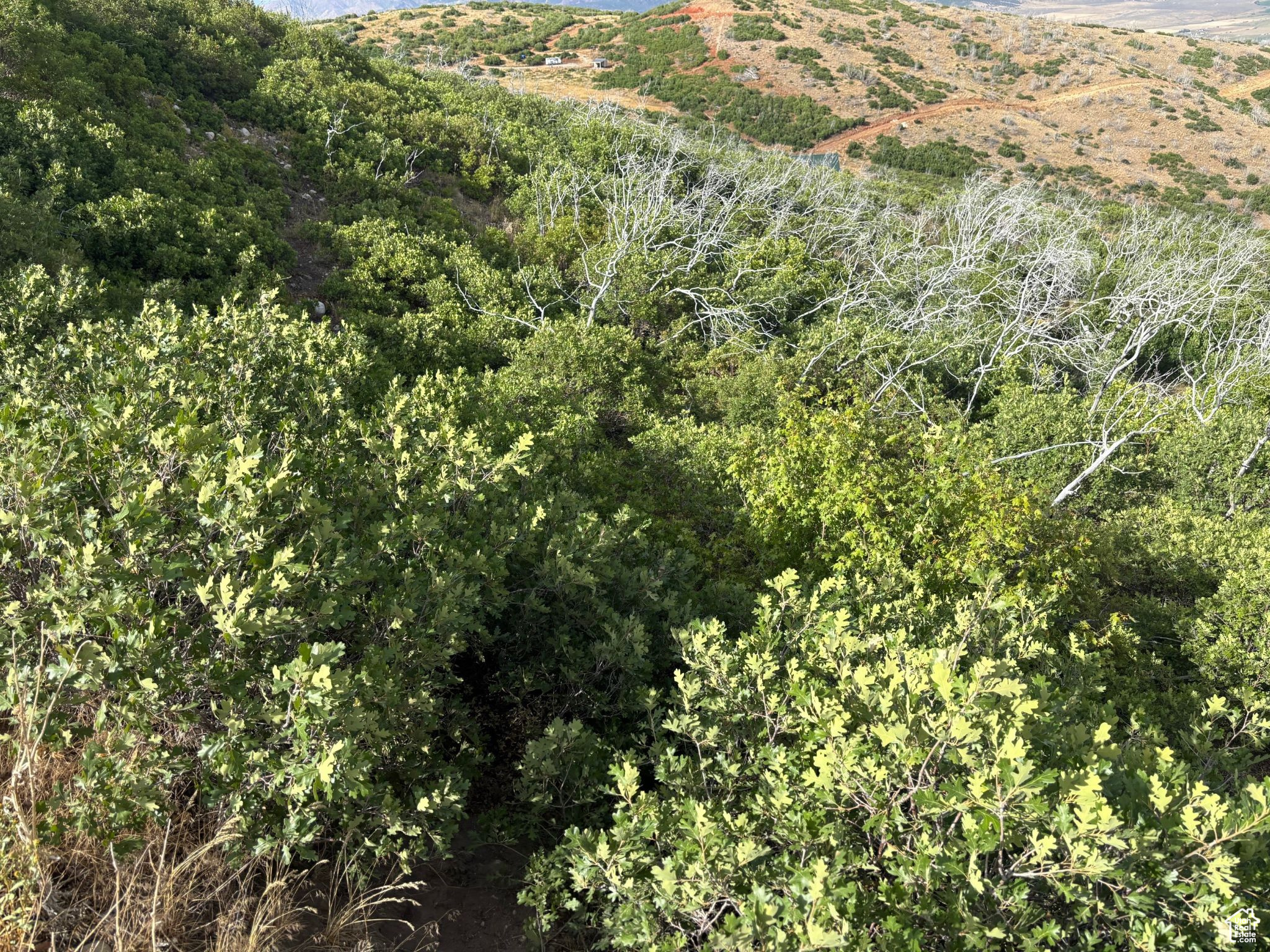 PLAT O / INDIAN RIDGE - Land