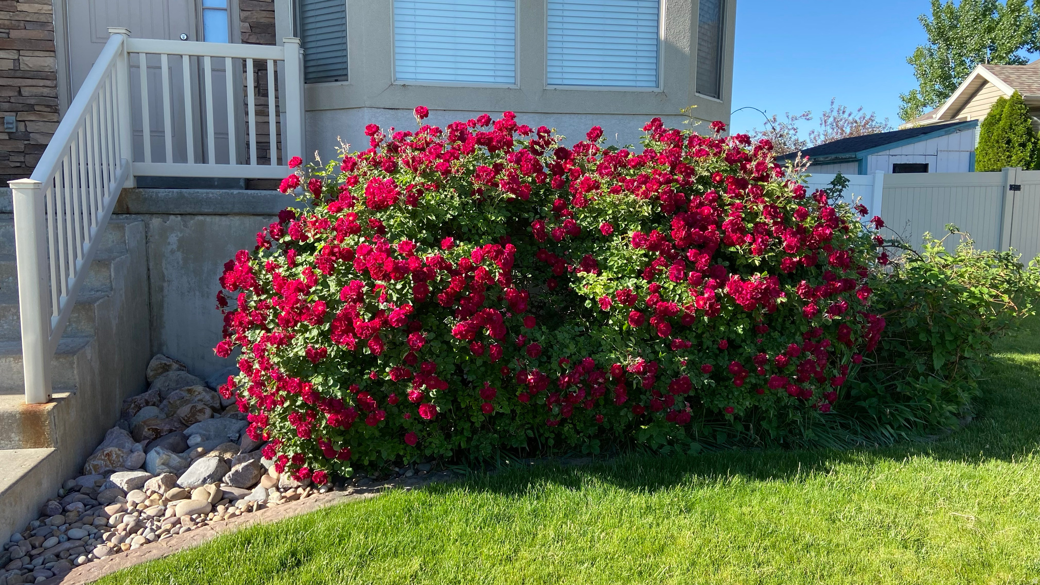 FREEDOM ESTATES - Residential