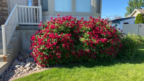 Tiny photo for 4641 W 5675 S, Hooper, UT 84315 (MLS # 2143027)