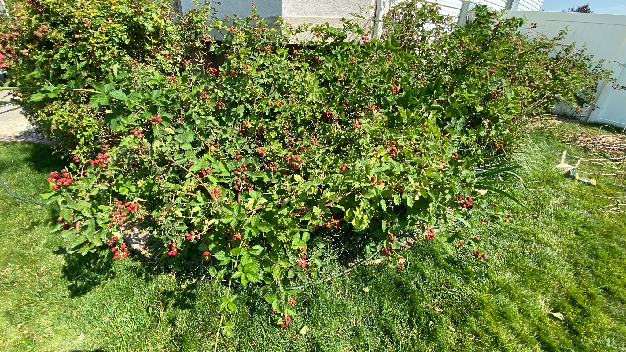 FREEDOM ESTATES - Residential