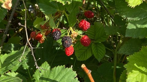 Tiny photo for 4641 W 5675 S, Hooper, UT 84315 (MLS # 2143027)