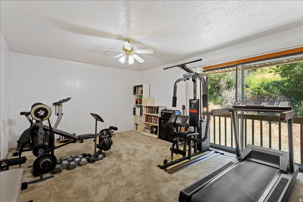 DAWSON HOLLOW ESTATES - Residential