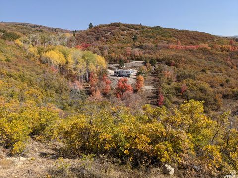 Vacant Land For Sale - 1 Archies Hideaway #1<br/> Fairview, UT 84629