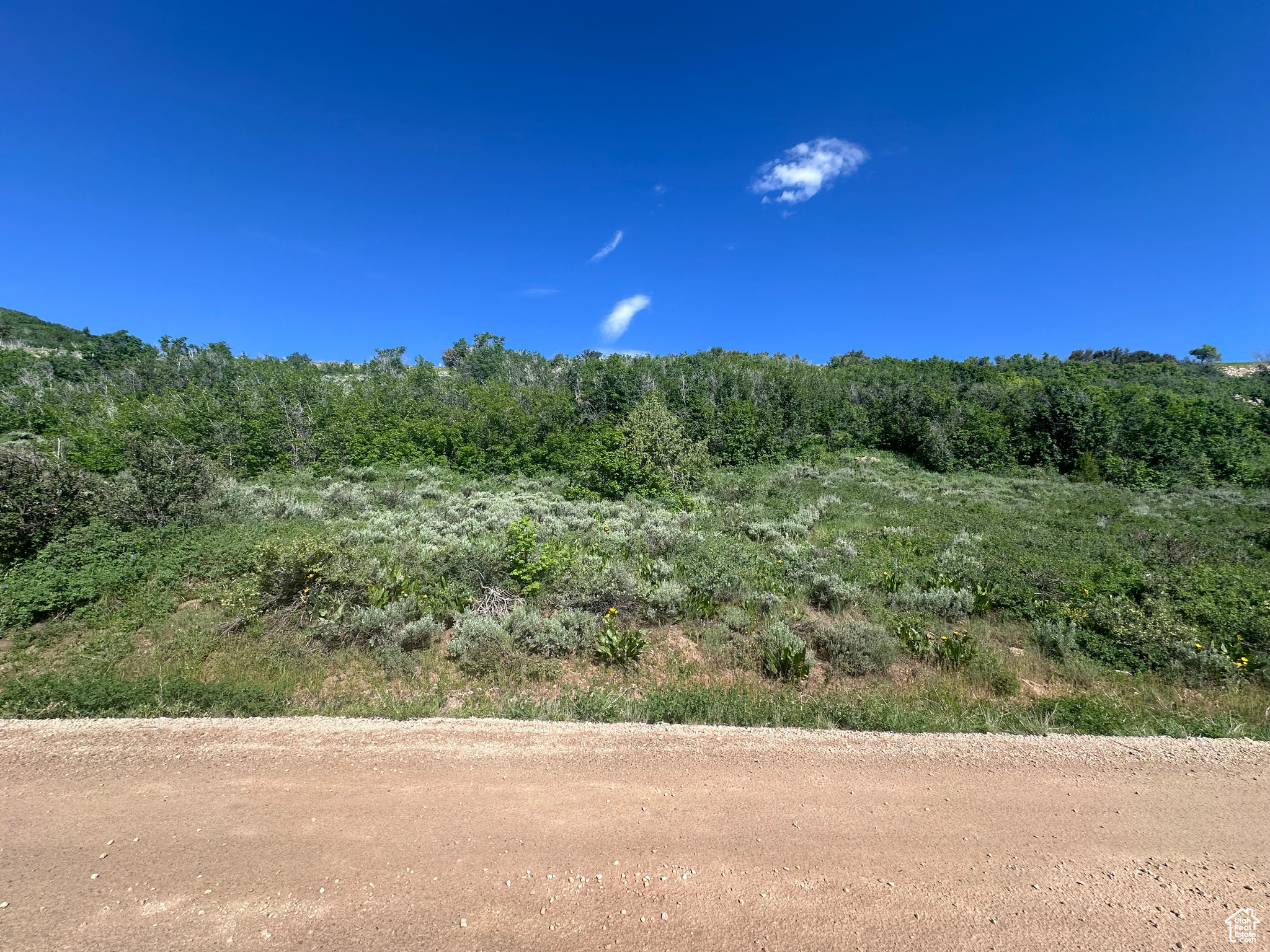 921 S Lakeview Dr #A 92, Garden City, Utah image 4