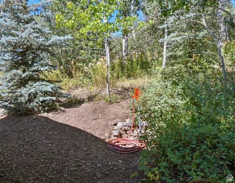 Tiny photo for 64 NAVAJO WAY, Oakley, UT 84055 (MLS # 2103635)