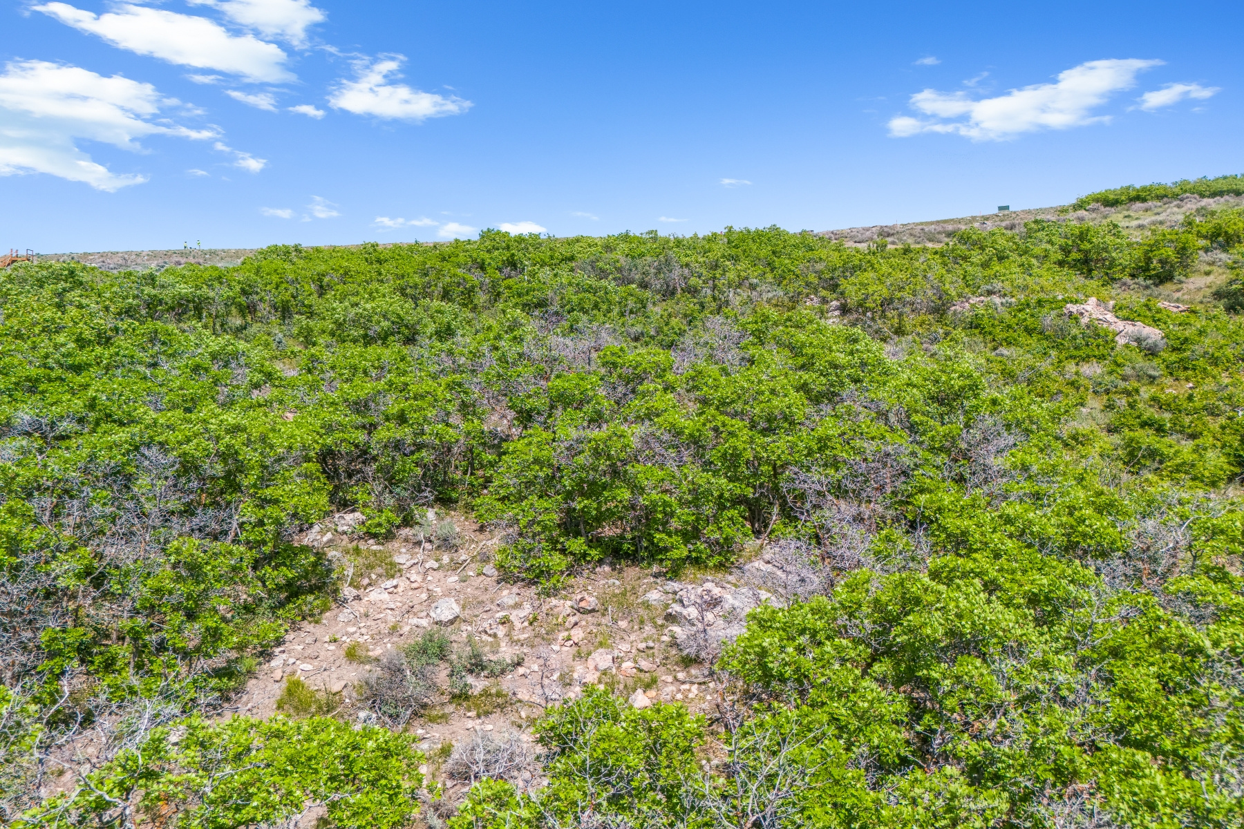 PINNACLE AT PROMONTORY - Land