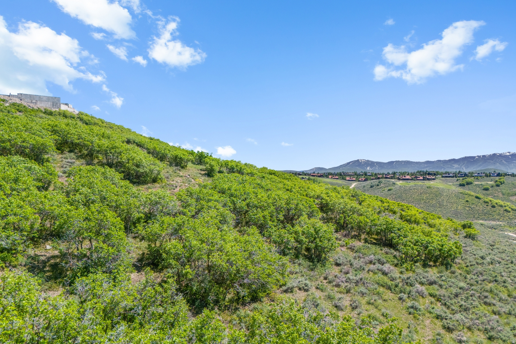 PINNACLE AT PROMONTORY - Land