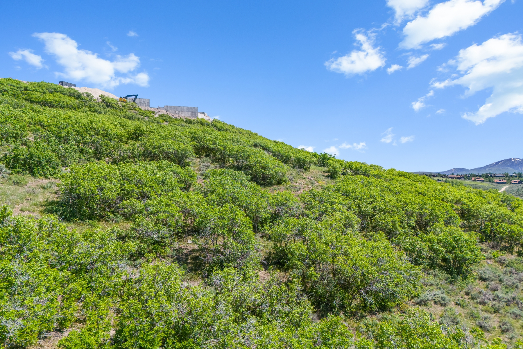 PINNACLE AT PROMONTORY - Land