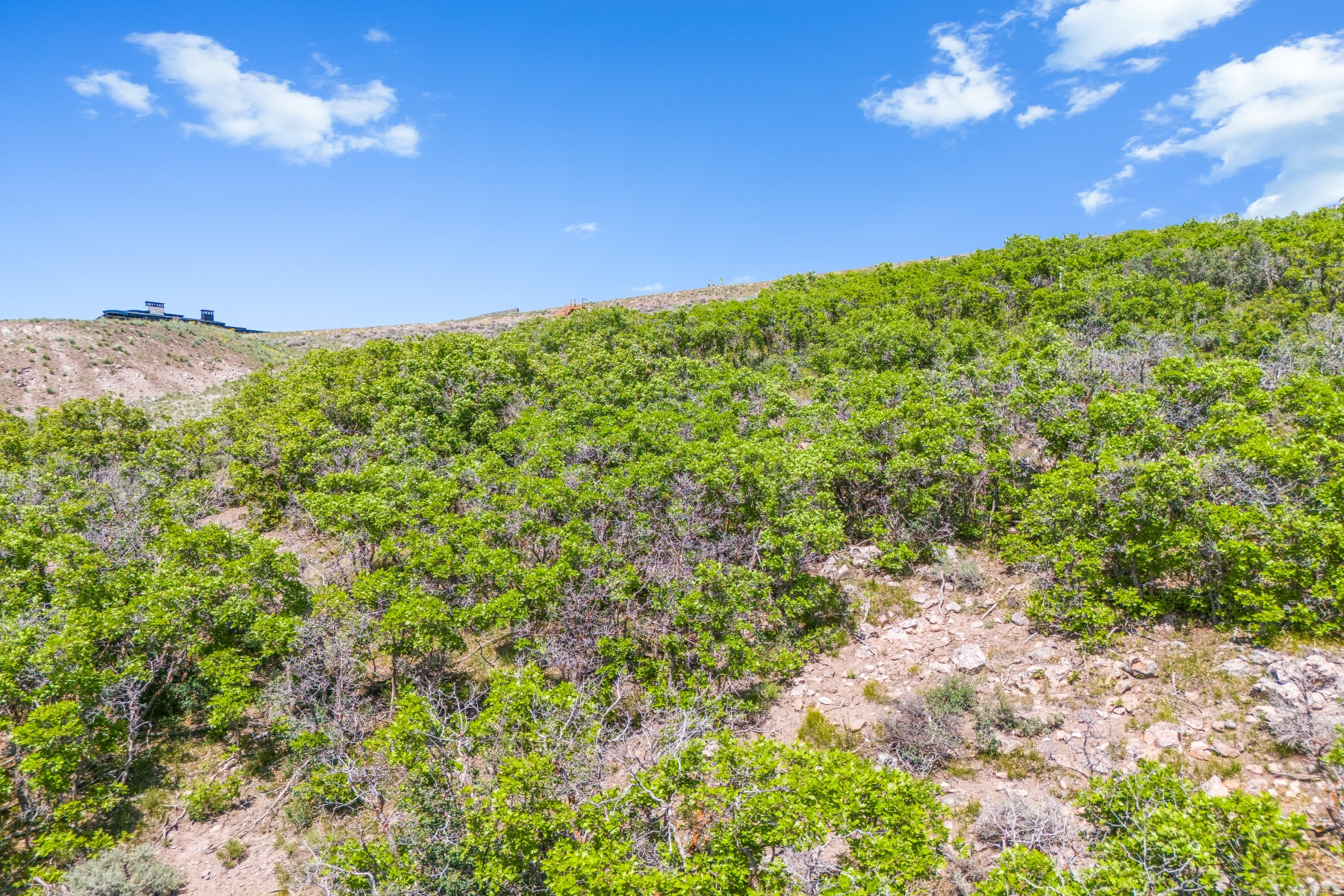 PINNACLE AT PROMONTORY - Land