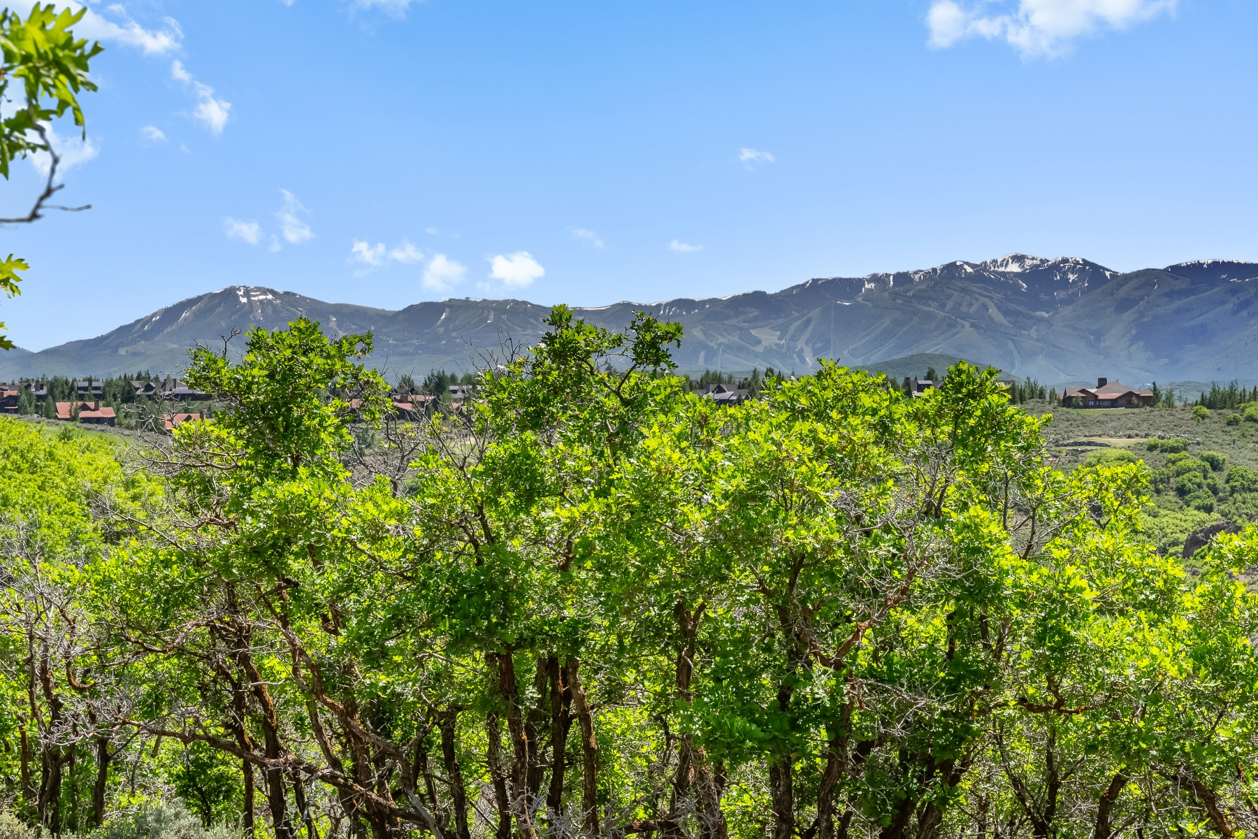 PINNACLE AT PROMONTORY - Land