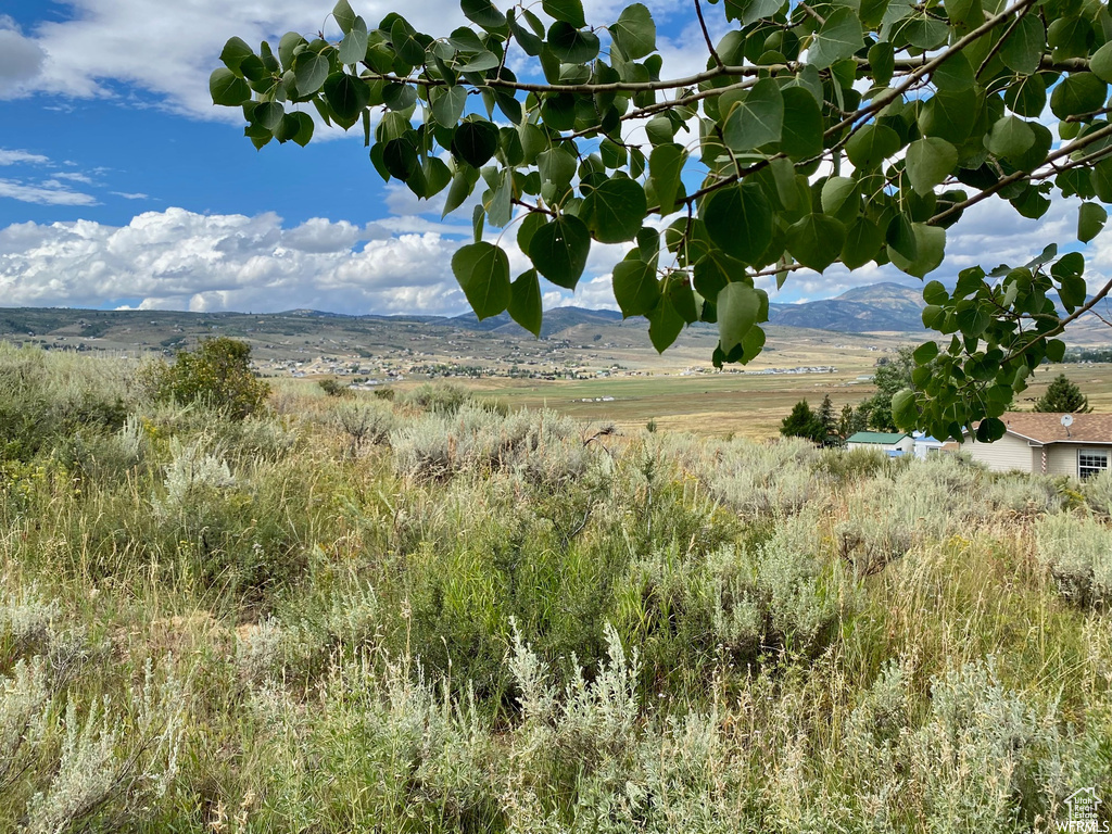 972 E Ridgeway Loop #228, Garden City, Utah image 28