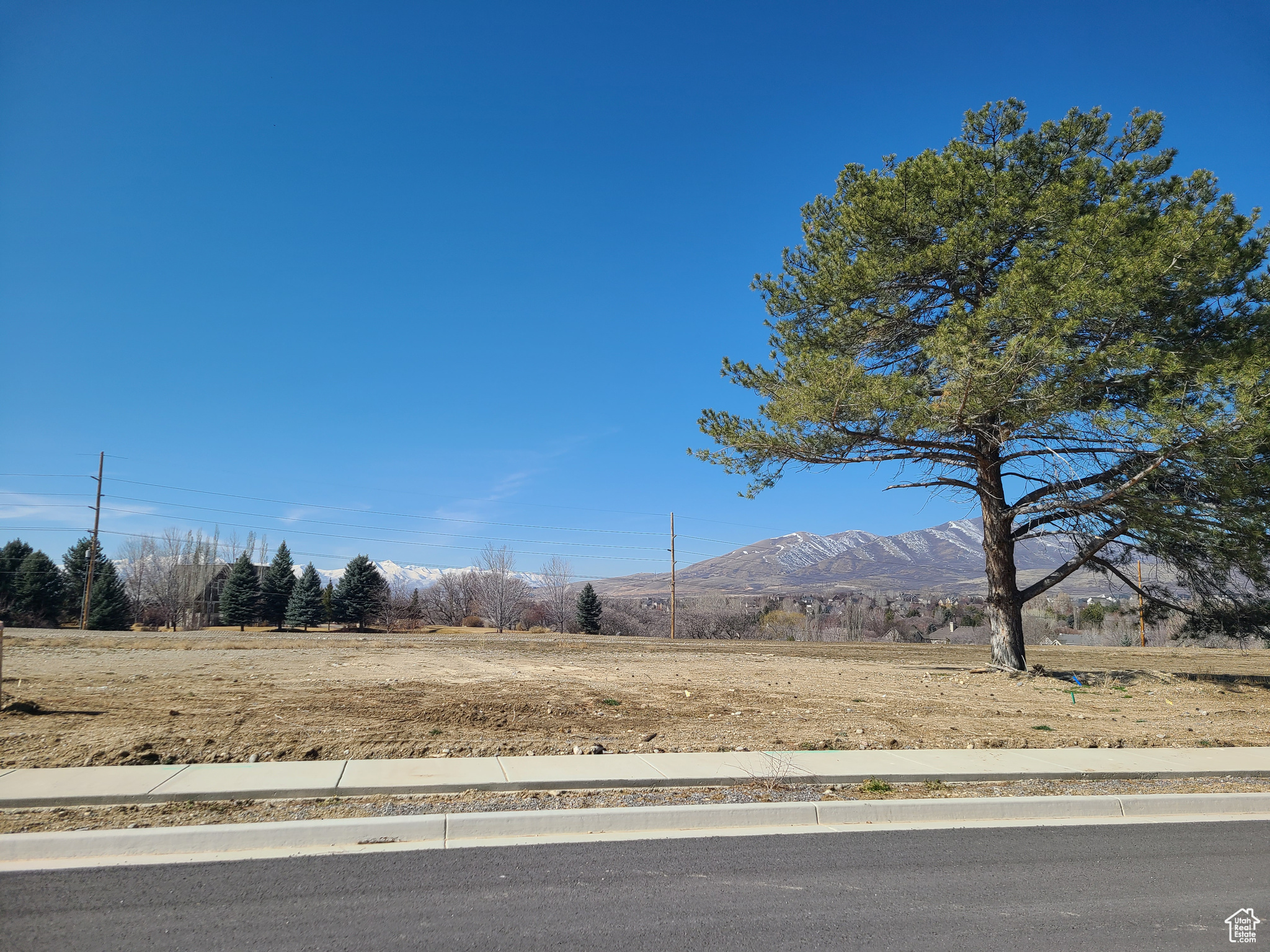 WILLIAMS VIEW - Land