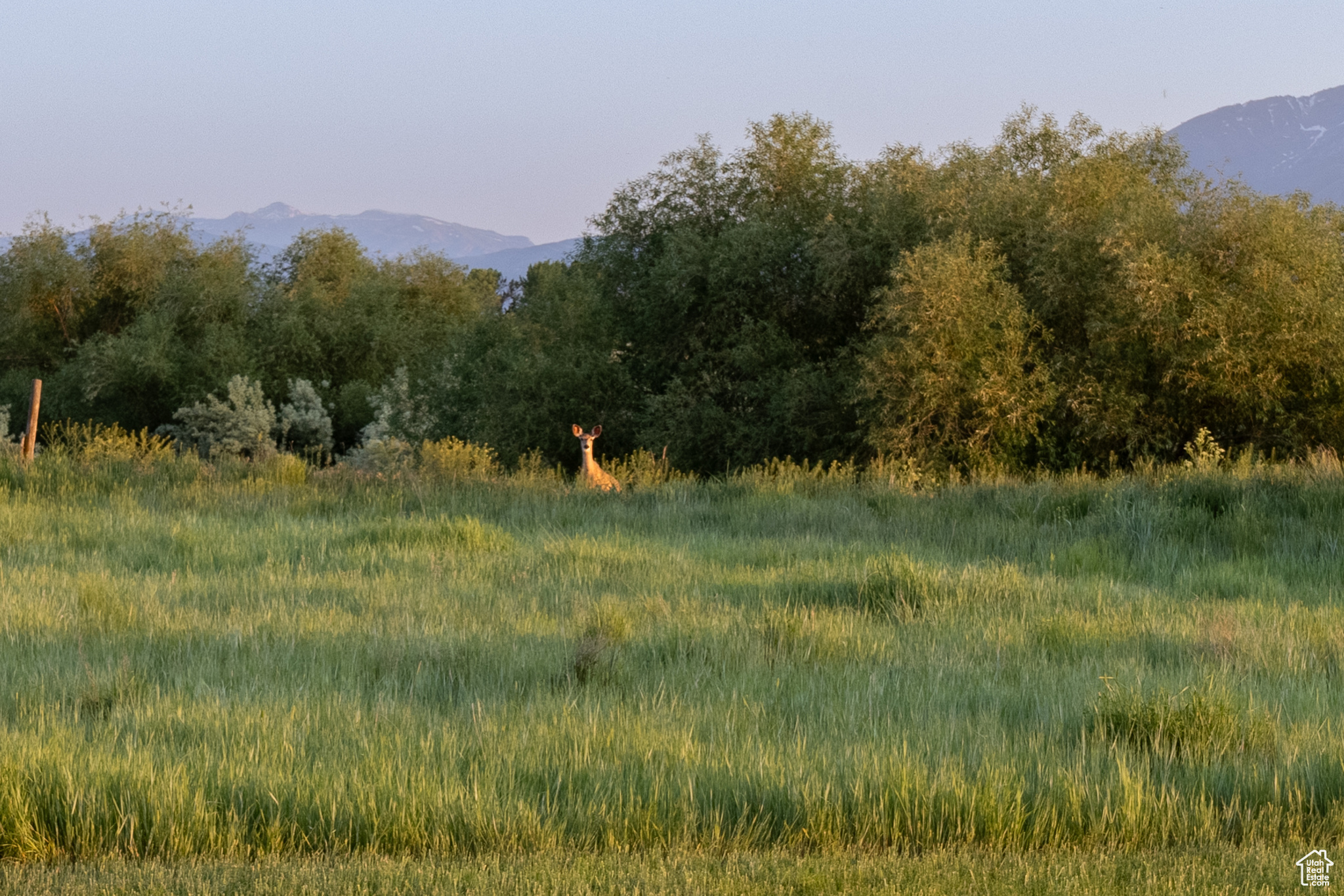 RON STAGG SUBDIVISION - Residential